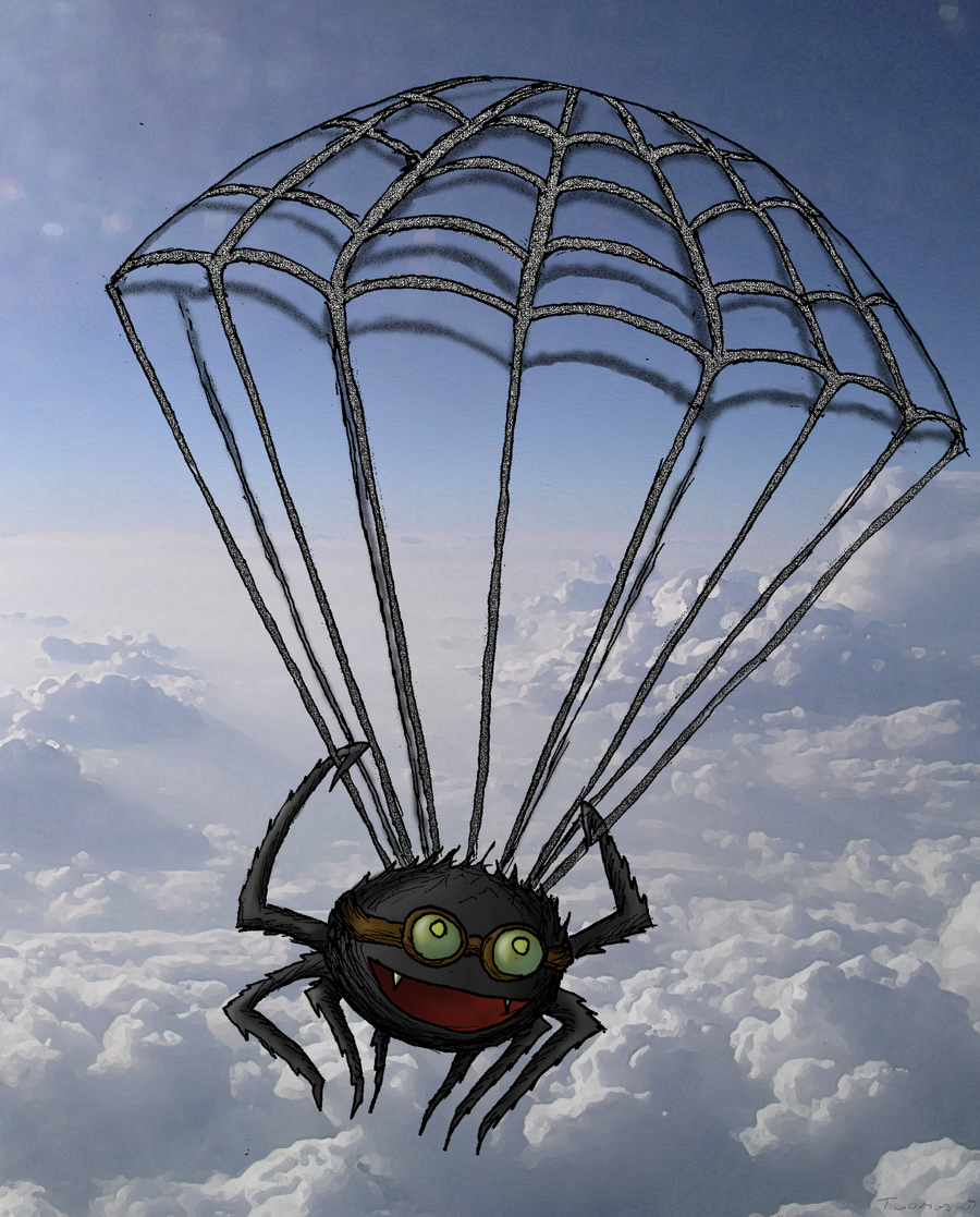 Image result for flying spider