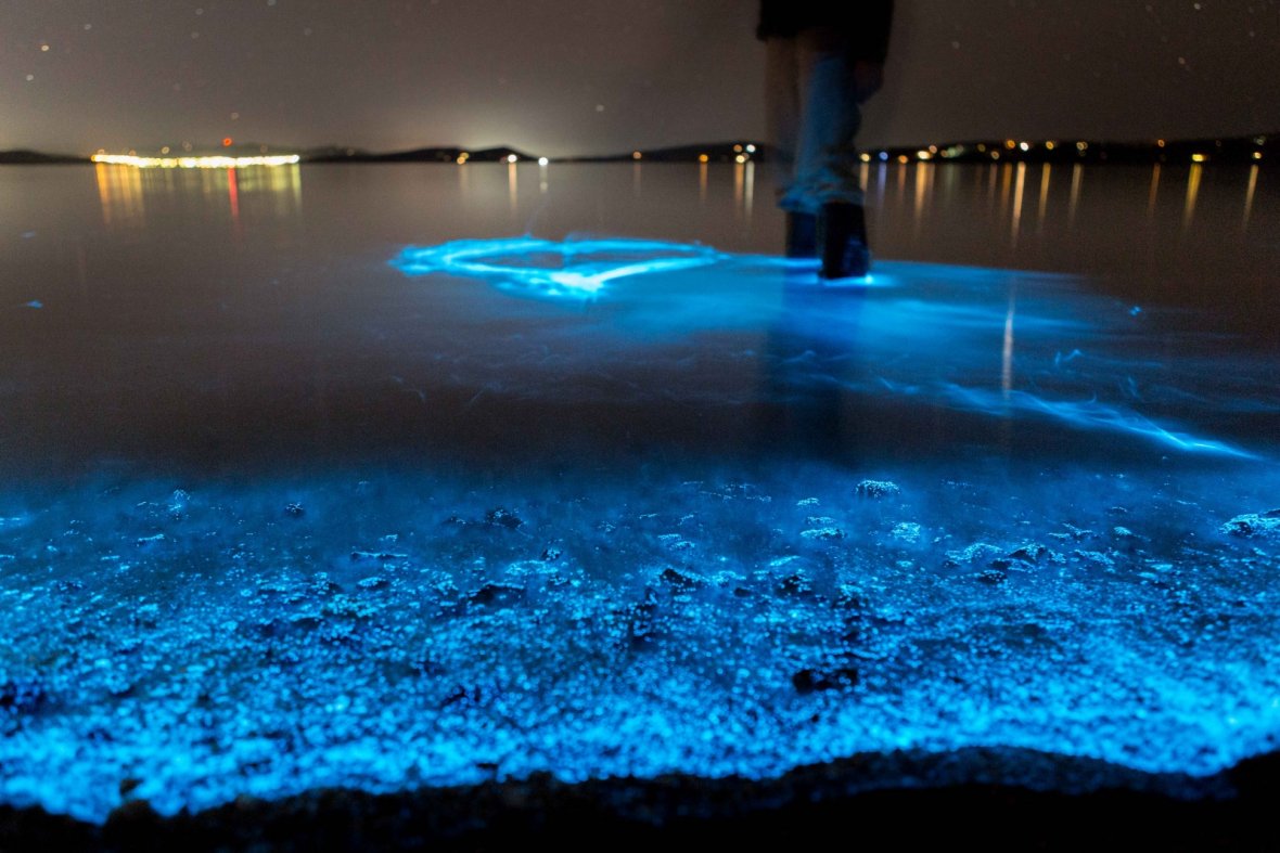 We have glowing beaches here on Earth and they are spectacular