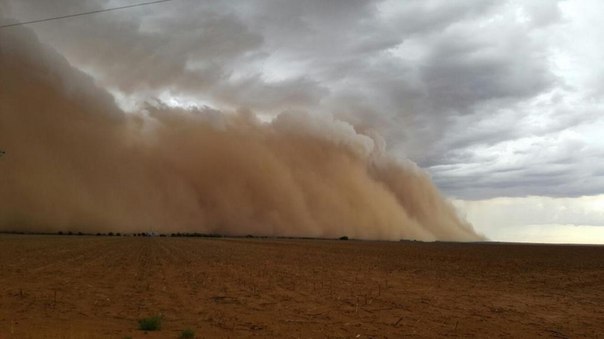 south africa sandstorm hoopstad, south africa sandstorm hoopstad pictures, south africa sandstorm hoopstad video, sandstorm hoopstad south africa, sandstorm hoopstad south africa photo, sandstorm hoopstad south africa video, sandstorm hoopstad south africa january 2016