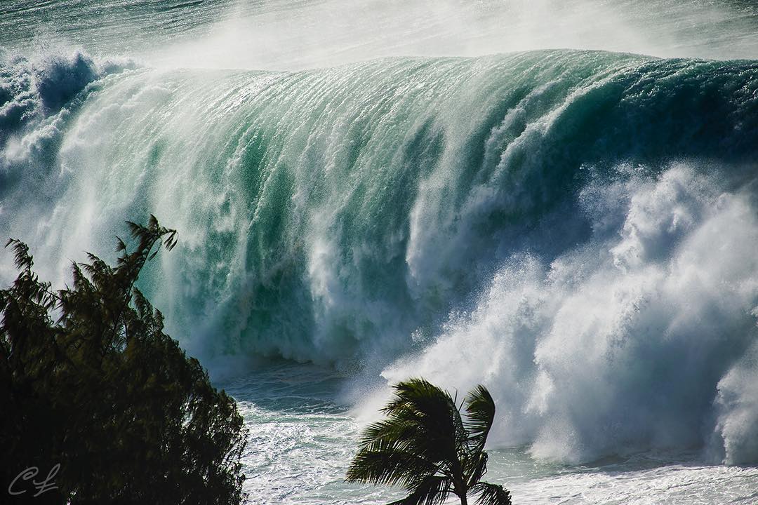 Gigantic waves hit Hawaii coast in strongest surf events in 50 years  Strange Sounds