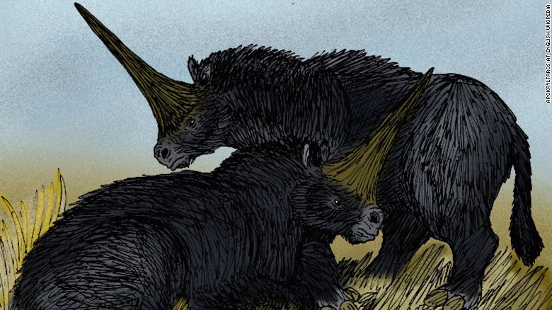 Real unicorns roamed Earth 29,000 years ago - Strange Sounds