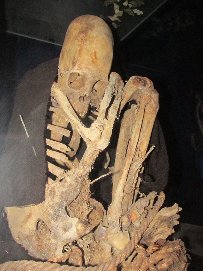 elongated-skulls-bolivia-2.jpg