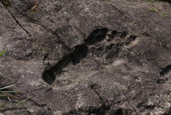 géant porcelaine humaine de l'empreinte, le pied géant août chine 2016, empreinte humaine géant découvert en Chine 2016, footpring du géant fossilisé dans la roche chine août 2016