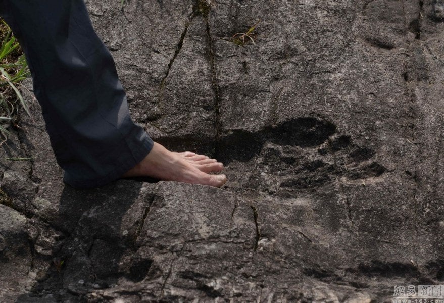 géant porcelaine humaine de l'empreinte, le pied géant août chine 2016, empreinte humaine géant découvert en Chine 2016, footpring du géant fossilisé dans la roche chine août 2016