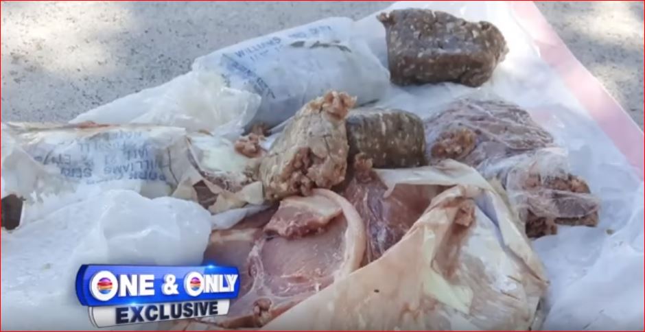 14 pounds of frozen meat fell down on the roof of a home in Florida, 14 pounds of frozen meat fell down on the roof of a home in Florida video, frozen meat falls rom sky florida megacryomeateor, megacryomeateor, megacryomeateor video, megacryomeateor florida video