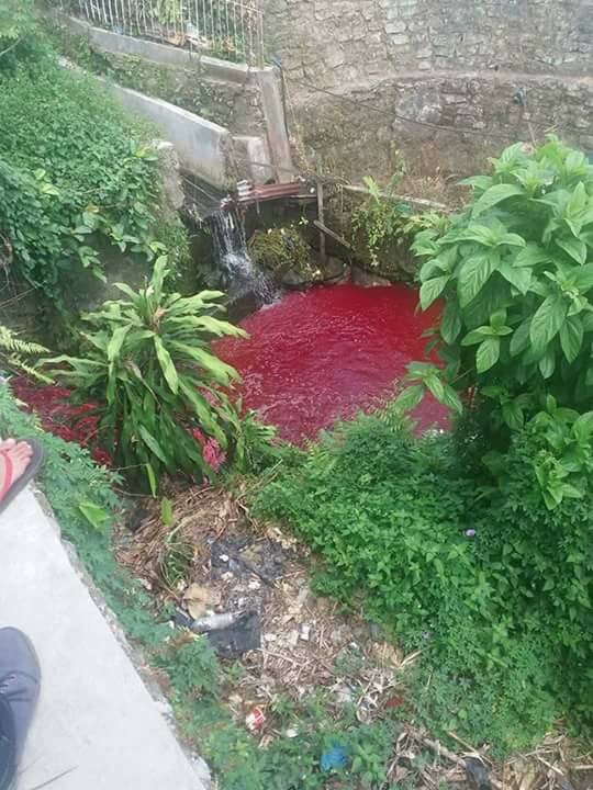 blood red river, blood red river video, blood red river picture, blood red river indonesia august 2017, blood red river indonesia august 2017 video, blood red river indonesia august 2017 picture