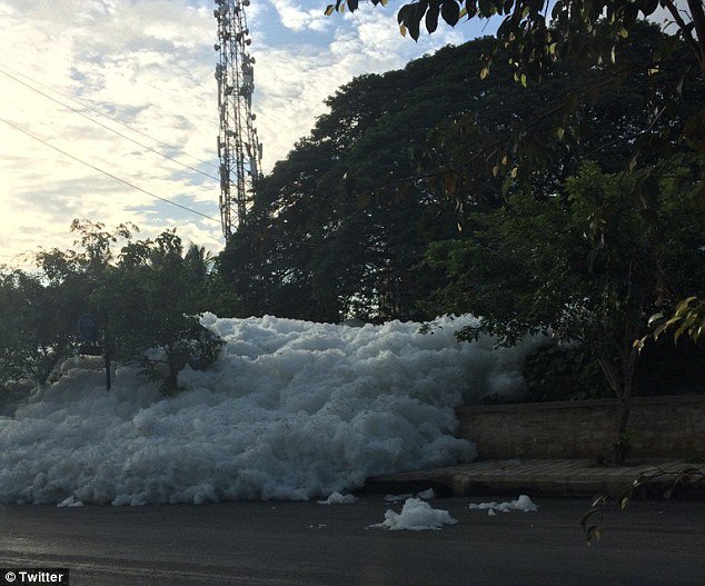 Toxic foam tsunami in Bengaluru after unprecedented downpours, toxic foam bengaluru, toxic foam bengaluru video, toxic foam bengaluru pictures