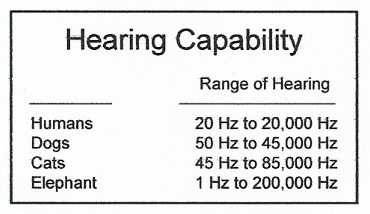 range of hearing, range of hearing for humans