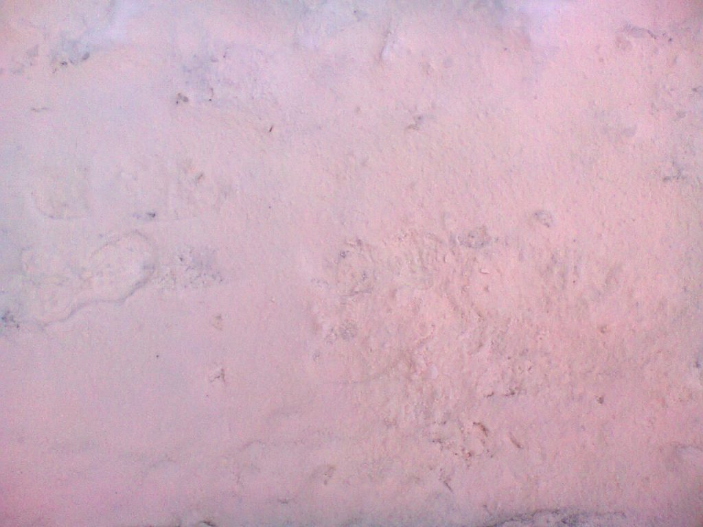 pink snow ukraine, pink snow ukraine pictures, sahara sand storm black sea march 2018