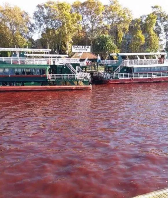 river turns blood red tigre buenos aires argentina, tigre rio rojo, tigre river argentina red water, red water tigre argentina