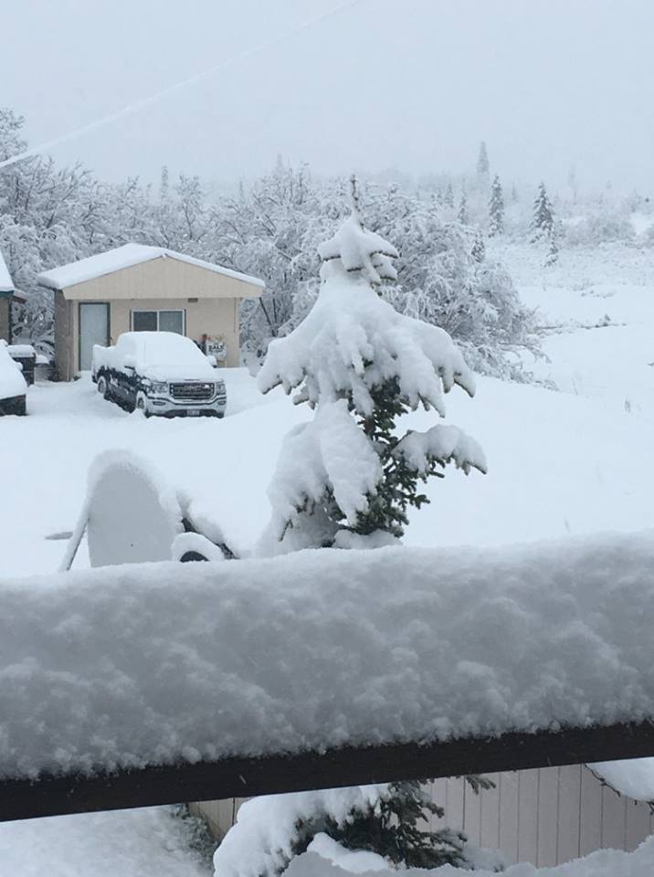 snow alaska june 2018, alaska snow, snow anomaly alaska june 2018