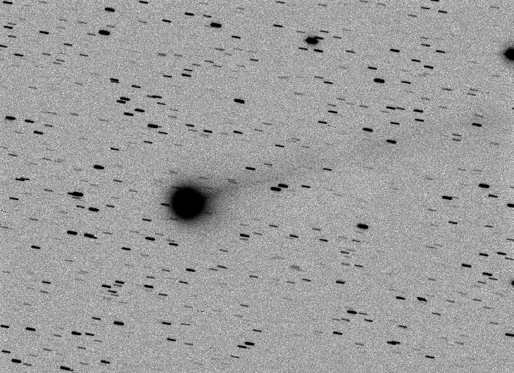 new comet discovered, new comet discovered pictures, new comet discovered by amateur astronomers