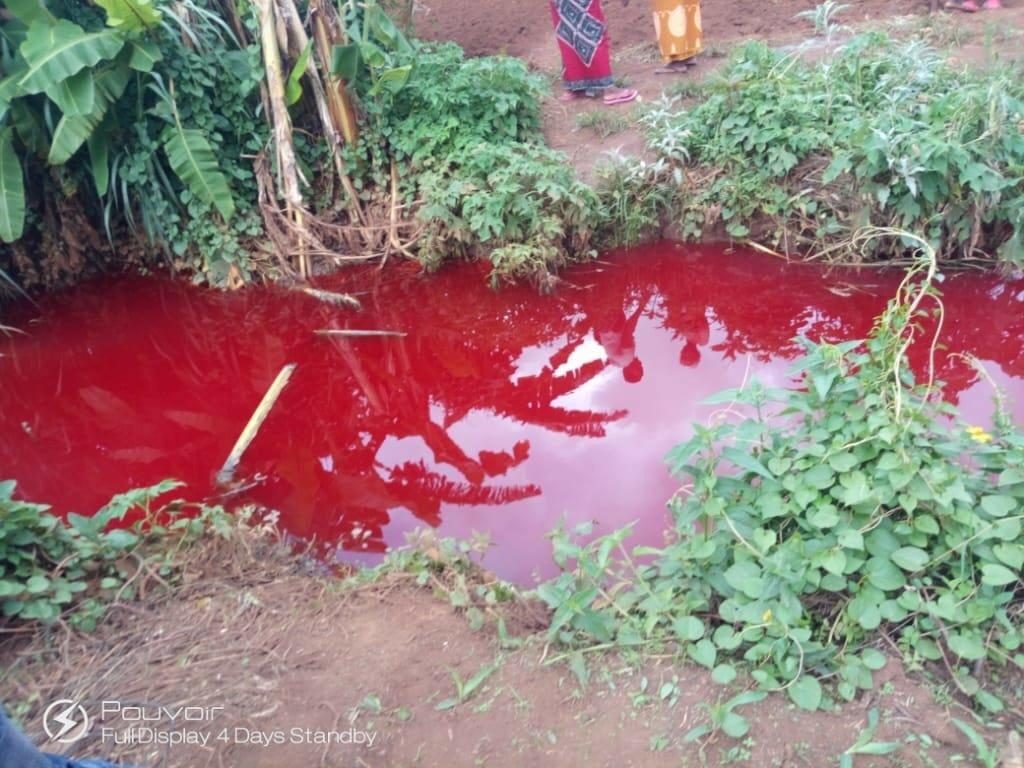 blood red river malawi africa, blood red river malawi africa video, blood red river malawi africa pictures