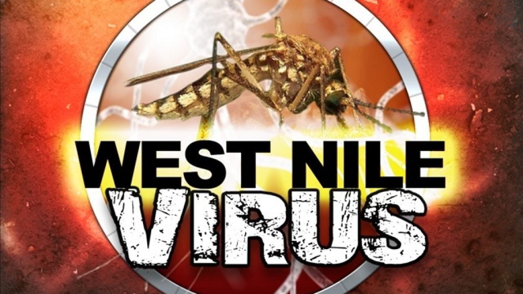 Dissertation west nile virus