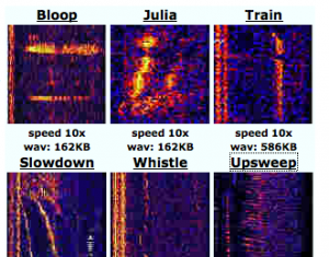 unexplained sounds from deep ocean