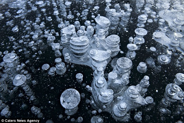frozen methane bubbles in alaskan lake
