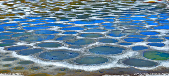 spotted lake osoyoos bc okanagan valley blue deposits, sacred places: discover spotted lake in okanagan BC, spotted lake, spotted lake BC, spotted lake BC Canada, mysteirous lake candan, mysterious spotted lake BC, mysterious lake BC, coloredlake bc, sacred lake BC: spotted lake, spotted lake evaporite lake with different colors, visit bc spotted lake, discover spotted lake bc canada, visit mysterious bc: spotted lake okanagan healing and sacred lake, The spotted lake is thought to contain healing waters
