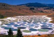The Mystic ‘Spotted Lake’ Is A Sacred Site Changing Colors And Producing Therapeutic Waters Near Osoyoos, BC, Canada spotted lake, spotted lake british colombia, spotted lake BC Canada, mysteirous lake canada, spotted lake BC,mysterious spotted lake BC, mysterious lake BC, spotted lake canada changes colore, lake changing color, spotted lake mystery