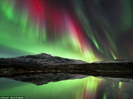 Aurora Borealis Saltfjellet Nordland Norway