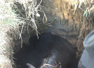 sinkhole swallows horse in Minnesota May 2013, sinkhole horse, horse swallowed by sinkhole, wrenshall sinkhole swallows horse, wrenshall minnesota sinkhole swallows hors, horde fall in sinkhole in Minnesota may 2013