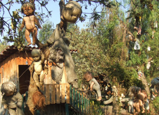 Island of dolls, Island of dolls photo gallery, weird things to visit in mexico, Island of dolls video and photos, visit Island of dolls in Mexico, Island of dolls photo, hanging dolls on Island of dolls, creepy Island of dolls mexico, mexico Island of dolls photo, Island of dolls video, visit weird places, discover strange places around the world, strange and magic places in Mexico, discover strange places in mexico, discover strange things in the world, weird destination in mexico: Island of dolls, discover island of gods mexico, visit island of dolls in mexico, open your weird side, Some of these dolls hanging all around on the Island of Dolls near Mexico city. Scary!
