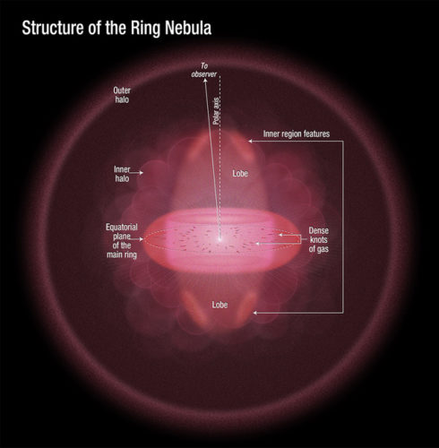 structure of the ring nebula