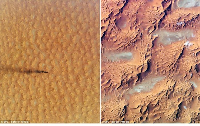 A dune sea in the Sahara Desert, Eastern Algeria and the Sahara desert