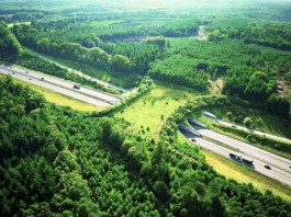Wildlife overpass, Wildlife overpasses, Wildlife overpasses around the world in pictures, Wildlife overpasses pictures, Wildlife overpasses photos, Wildlife overpasses images, wildlife crossing, green bridges, ecoducts, wildlife crossing structures