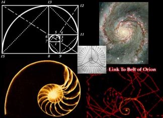 golden ratio, fibonacci spiral,golden ratio fibonacci spiral in nature