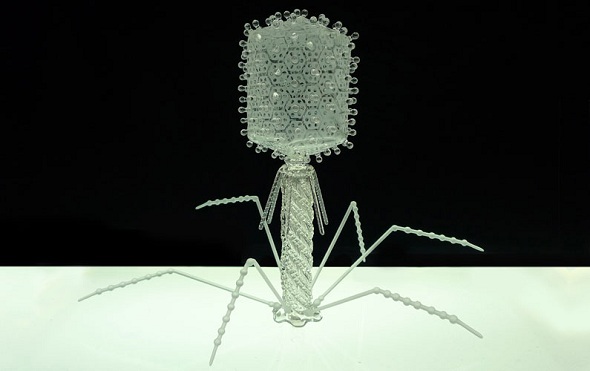 glass sculptures of deadly viruses by Luke Jerram: T4 BACTERIOPHAGE, T4 BACTERIOPHAGE glass sculpture, glass sculpture luke jerram, luke jerram
