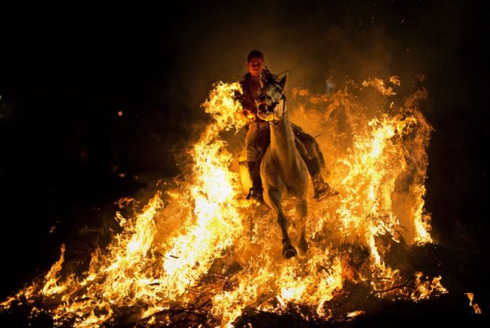 luminarias festival spain january 2014, The Luminarias festival spain january 2014 Luminarias spain, luminarias festival photo, luminarias festival video, The amazing festival where they celebrate the patron saint of animals... by riding horses through FIRE, horse ride through fire, luminarias: horse ride through fire, amazing spanish festival where horse go through fire, Luminarias 2014: The amazing festival where they celebrate the patron saint of animals by riding horses through FIRE in Spain