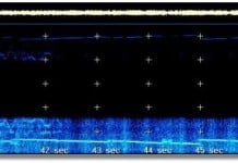 Creepy Unexplained Broadcast: The Backward Music Station (Number Station) Backward Music Station, The Backward Music Station, creepy broadcast: The Backward Music Station, The Backward Music Station strange broadcast, Creepy Unexplained Broadcast: The Backward Music Station, strange sounds: The Backward Music Station, creepy sounds: The Backward Music Station, strange and creepy sound broadcast: The Backward Music Station, The Backward Music Station creepy broadcats, The Backward Music Station strange sound, what is the The Backward Music Station?, unexplained Backward Music Station, mysterious sounds: Backward Music Station, mysterious Backward Music Station, strange Backward Music Station, amazing broadcast: Backward Music Station, Backward Music Station video, Backward Music Station recordings, Backward Music Station sounds