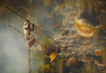 Stunning photos show the ancient tradition of honey hunting in Nepal, photo honey hunter nepal, nepal himalayan honey hunter, honey hunter himalaya image, honey hunter nepal, honey hunter, A honey hunter in Himalayan central Nepal. Photo: Andrew Newey
