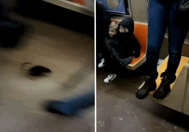 rat, nyc subway, rat in new york city subway video, large rat NYC subway, subway rat NY april 2014, large rat terrorizes New York City subway passengers (VIDEO) - April 2014
