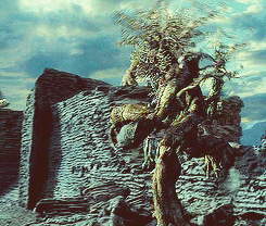 the ents gif, ent gif, ents attack gif, gif featuring ents attack, armed tree, arms in tree photo, photo of arms in tree, remnant of war photo, war in tree picture, photo of war, photo of war into tree trunks, War stuck in trees, remnants of war in trees photo, arms in trees photo, st.petersburg remnants of arms in tree photo, arms in tree trunks, remnants of war in tree trunks, arms inside tree trunks photo, War stuck in trees, remnants of war in trees, arms in trees, st.petersburg remnants of arms in tree, arms in tree trunks, remnants of war in tree trunks, arms inside tree trunks, An helmet in a tree trunk. Photo: Imgur, Grenade stuck in a tree. Photo: Imgur, the ents gif, ent gif, ents attack gif, gif featuring ents attack