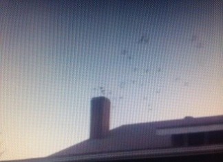 Hundreds Of Birds Fly Into Exeter Woman's Home, Hundreds Of Birds Fly Into Exeter Woman's Home. Photo: KMPH video