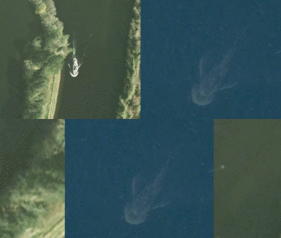 underwater image of loch ness monster is a boat, latest loch ness monster sighting, latest underwater loch ness monster sighting is a boat, latest sighting of loch ness underwater is a boat, Latest image of Loch Ness monster is actually a boat, Latest image of Loch Ness monster is actually a boat. Gif: Sploid Gizmodo