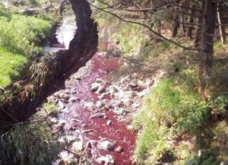 blood river mexico, river turns red blood in mexico, rivers turns red in mexico, red river in Mexcio, pollution turns river red in Mexico, mexico red river may 2014, Blood red river in Mexico - May 2014