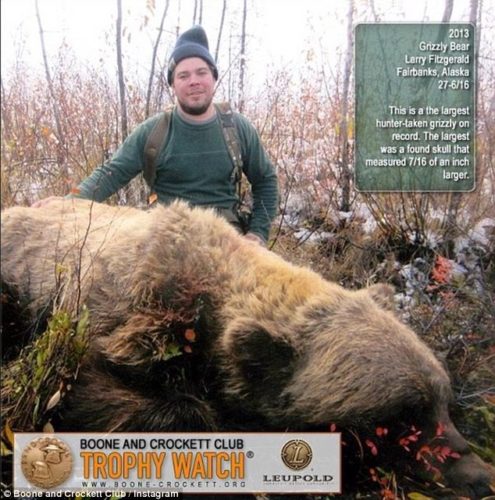 Largest grizzly bear shot in Alaska, largest bear hunt, what size is the largest bear ever killed, largest grizzly ever killed, biggest grizzly ever killed, size of largest bear ever killed, what is the largest bear ever killed, This is a picture of the largest bear EVER killed. Photo: Instagram, Largest grizzly bear shot in Alaska, where was shot the largest bear ever, largest bear ever killed photo, photo of the largest bear ever killed, largest bear ever hunt