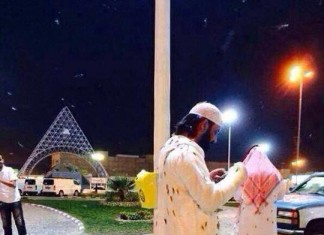 Locust plague in Saudi Arabia - May 15 2014, Real images as taken from the Bible or a horror movie, Locust plague in Saudi Arabia - May 15 2014. Photo: Alerta Roja Noticias