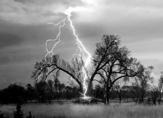 Lightning striking tree caught on camera, Tree explodes after being struck by a terrifying lightning, Tree explodes after being struck by a terrifying lightning video, amazing lightning video, best lightning video: tree explosion after lightning strike, tree explosion after lightning strike, lightning strikes and tree explodes video, video of tree explosion after lightning strikes, lightning strikes and explodes tree, tree explodes after lightning strike, lightning strike explodes tree, tree lightning explosion video, video of exploding tree after lightning strike, amazing video of tree and lightning strike, lightning strikes tree video june 2014, A security camera at a state park in Saratoga Springs caught lightning directly striking a tree. Watch the dramatic video,