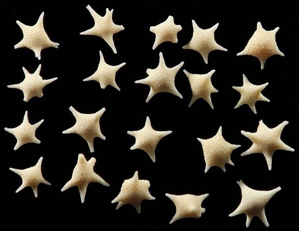 star beach, star beach japan, star sand japan, sand japan beach made of star