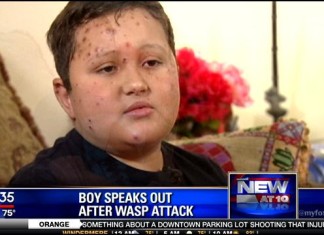 boy attacked by wasp in florida, boy survives wasp attack in florida june 2014, Jordan Alvarez,Jordan Alvarez attacked by wasp in florida june 2014 video, boy attacked by wasps in florida, wasps attack boy in florida june 2014, boy attacked by hundreds of wasps in Florida june 2014, boy attacked by wasps florida june 2014 video, video wasp attack june 2014 florida, young boy attacked by wasps in florida june 2014, wasp attack news june 2014, boy wasp june 2014 florida, wasp attack video, wasp attack news, young boy attacked by angry wasps in Florida june 2014, wasp attack boy florida june 2014, This boy, Jordan Alvarez, and his father were attacked by angry wasps in Florida. He explains his terrifying experience in the following video. Photo: My Fox Orlando video