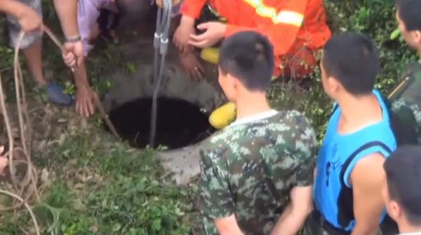 Unexpected: Cow rescued from sewer by firefighters in China (VIDEO). Photo: Youtube video, cow drain china video, cow stuck in drain in china, cow drain china video, cow rescued from sewer video, cow rescued from drain video, video cow sewer china video, Cow Rescue Video China Drain, Cow Rescue china video, Cow Stuck in Drain, Cow in Sewer Chinese