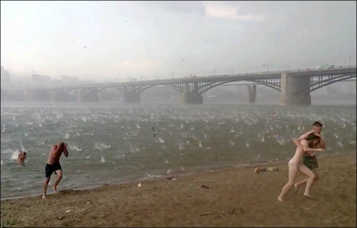 Weather Anomaly: Swimmers and beachgoers running for their lives during a violent hailstom in Novosibirsk, Siberia on July 12 2014. Photo: Ruslan Sokolov, Novosibirsk russia beach hailstorm july 2014, Крупный град на городском пляже в Новосибирске 12 июля 2014 г, Swimmers waded out of the water covering their heads. Picture: Ruslan Sokolov, hailstorm beach russia, hail storm russia beach july 2014, hailstorm Novosibirsk july 2014 video, video hailstorm Novosibirsk july 12 2014, extreme weather: hailstorm surprises beachgoers in Novosibirsk july 12 2014 video, video of Novosibirsk hailstorm beach july 2014, Massive Hailstorm Surprises Russian Beachgoers In Novosibirsk (VIDEO)