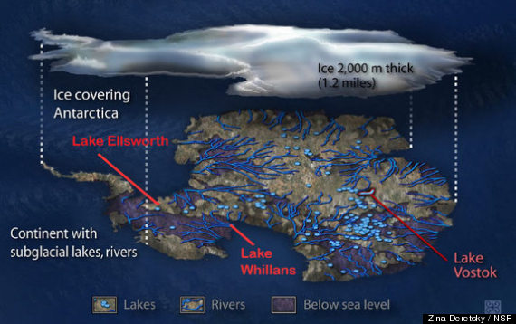 Lake Whillans, life discovered in antarctica lake, life in antarctica lake, life antarctica lake whillans, Lake Whillans life discovered, life discovered in lake whillans, life found in antarctica lake, life found in lake whillans, Life was discovered in subglacial Lake Whillans in Antarctica. Lake Whillans, a subglacial expanse of water measuring about 1.2 square miles (3 square kilometers) and hidden deep beneath the Antarctic ice sheet. Photo: Life Science