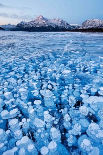 Frozen Methane Bubbles, frozen methane photo, photo Frozen Methane Bubbles, picture Frozen Methane Bubbles, Frozen Methane Bubbles in picture