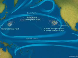 garbage patch north pacific ocean, garbage patches north pacific ocean, how big are garbage patches north pacific ocean, what are garbage patches north pacific ocean, where are garbage patches, pacific garbage patches