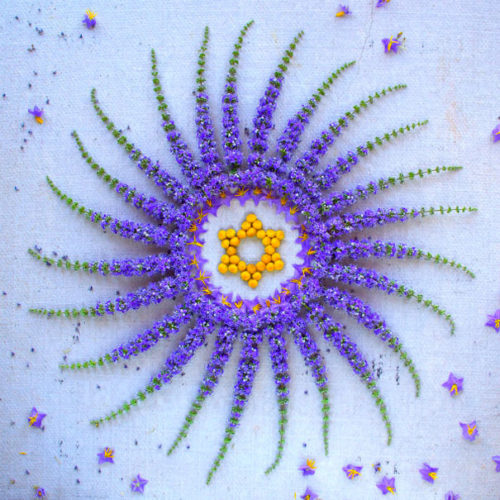 Mandala, danmala, Mandala danmala, madala flowers and fruits, Mandala danmala by Kathy Klein, Mandala danmala by Kathy Klein