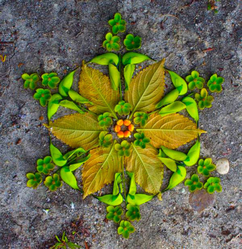 Mandala, danmala, Mandala danmala, madala flowers and fruits, Mandala danmala by Kathy Klein